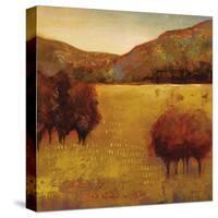 Colour Of Fall III-Georgie-Stretched Canvas