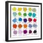 Colour Palette-Jenny Frean-Framed Giclee Print