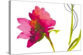 Colour Splash II-Sandra Jacobs-Stretched Canvas