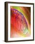 Coloured Angiogram of Coronary Artery of the Heart-Science Photo Library-Framed Photographic Print