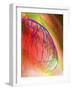 Coloured Angiogram of Coronary Artery of the Heart-Science Photo Library-Framed Photographic Print