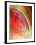 Coloured Angiogram of Coronary Artery of the Heart-Science Photo Library-Framed Photographic Print