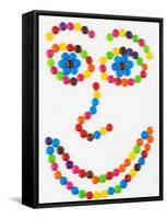 Coloured Chocolate Beans Forming a Smiling Face-Greg Elms-Framed Stretched Canvas