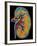 Coloured CT Scan Through a Healthy Human Kidney-PASIEKA-Framed Photographic Print