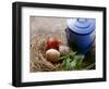 Coloured Eggs in Straw Nest; Blue Milk Can-Eising Studio - Food Photo and Video-Framed Photographic Print