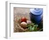 Coloured Eggs in Straw Nest; Blue Milk Can-Eising Studio - Food Photo and Video-Framed Photographic Print