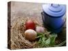 Coloured Eggs in Straw Nest; Blue Milk Can-Eising Studio - Food Photo and Video-Stretched Canvas