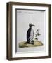 Coloured from Birds History, 1767, Table 497-null-Framed Giclee Print