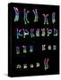 Coloured LM of a Normal Female Karyotype-L. Willatt-Stretched Canvas