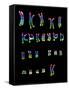 Coloured LM of a Normal Female Karyotype-L. Willatt-Framed Stretched Canvas