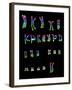 Coloured LM of a Normal Female Karyotype-L. Willatt-Framed Photographic Print