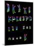 Coloured LM of a Normal Female Karyotype-L. Willatt-Mounted Photographic Print