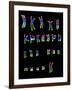 Coloured LM of a Normal Female Karyotype-L. Willatt-Framed Photographic Print