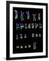 Coloured LM of a Normal Female Karyotype-L. Willatt-Framed Photographic Print