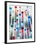 Coloured Marbles Creating Interesting Coloured Long Shadows-Frankie Angel-Framed Photographic Print