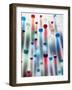 Coloured Marbles Creating Interesting Coloured Long Shadows-Frankie Angel-Framed Photographic Print