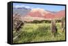 Coloured Mountains, Salta District, Argentina-Peter Groenendijk-Framed Stretched Canvas