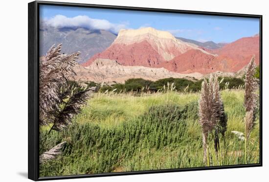 Coloured Mountains, Salta District, Argentina-Peter Groenendijk-Framed Photographic Print