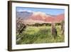 Coloured Mountains, Salta District, Argentina-Peter Groenendijk-Framed Photographic Print