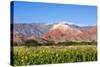 Coloured Mountains, Salta District, Argentina-Peter Groenendijk-Stretched Canvas