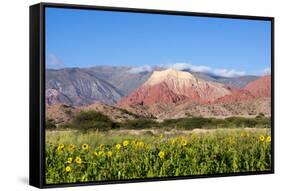 Coloured Mountains, Salta District, Argentina-Peter Groenendijk-Framed Stretched Canvas