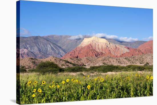Coloured Mountains, Salta District, Argentina-Peter Groenendijk-Stretched Canvas