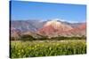 Coloured Mountains, Salta District, Argentina-Peter Groenendijk-Stretched Canvas