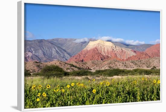 Coloured Mountains, Salta District, Argentina-Peter Groenendijk-Framed Photographic Print