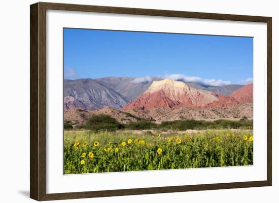 Coloured Mountains, Salta District, Argentina-Peter Groenendijk-Framed Photographic Print