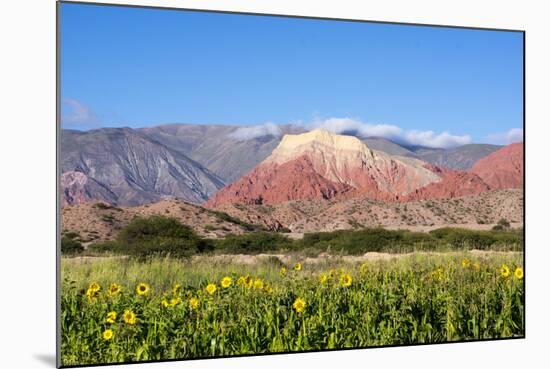 Coloured Mountains, Salta District, Argentina-Peter Groenendijk-Mounted Photographic Print