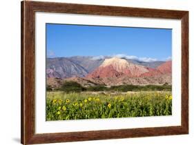 Coloured Mountains, Salta District, Argentina-Peter Groenendijk-Framed Photographic Print