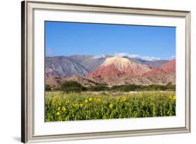 Coloured Mountains, Salta District, Argentina-Peter Groenendijk-Framed Photographic Print