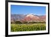 Coloured Mountains, Salta District, Argentina-Peter Groenendijk-Framed Photographic Print