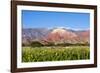 Coloured Mountains, Salta District, Argentina-Peter Groenendijk-Framed Photographic Print