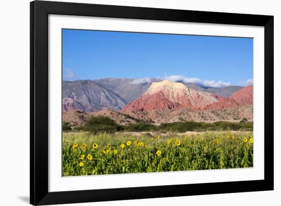 Coloured Mountains, Salta District, Argentina-Peter Groenendijk-Framed Photographic Print