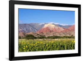 Coloured Mountains, Salta District, Argentina-Peter Groenendijk-Framed Photographic Print