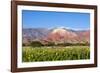 Coloured Mountains, Salta District, Argentina-Peter Groenendijk-Framed Photographic Print