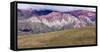 Coloured Mountains, Salta District, Argentina-Peter Groenendijk-Framed Stretched Canvas