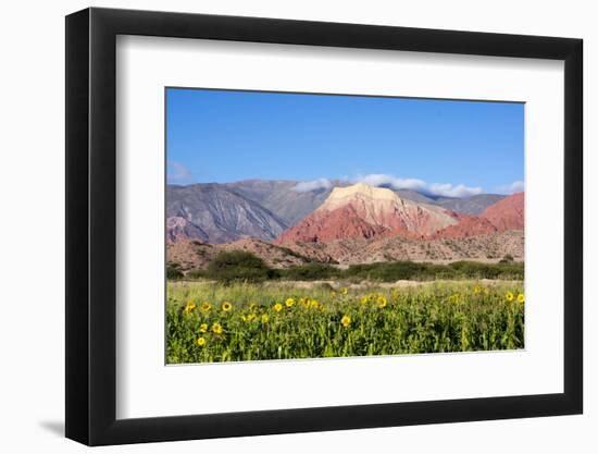 Coloured Mountains, Salta District, Argentina-Peter Groenendijk-Framed Photographic Print