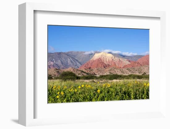 Coloured Mountains, Salta District, Argentina-Peter Groenendijk-Framed Photographic Print