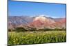 Coloured Mountains, Salta District, Argentina-Peter Groenendijk-Mounted Photographic Print