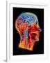 Coloured MRI Scan of the Human Head (side View)-PASIEKA-Framed Photographic Print