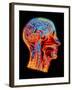 Coloured MRI Scan of the Human Head (side View)-PASIEKA-Framed Photographic Print
