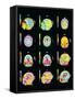 Coloured MRI Scans of Human Brain (multiple Views)-Mehau Kulyk-Framed Stretched Canvas