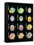 Coloured MRI Scans of Human Brain (multiple Views)-Mehau Kulyk-Framed Stretched Canvas