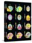 Coloured MRI Scans of Human Brain (multiple Views)-Mehau Kulyk-Stretched Canvas