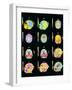 Coloured MRI Scans of Human Brain (multiple Views)-Mehau Kulyk-Framed Photographic Print