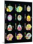 Coloured MRI Scans of Human Brain (multiple Views)-Mehau Kulyk-Mounted Photographic Print