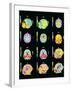 Coloured MRI Scans of Human Brain (multiple Views)-Mehau Kulyk-Framed Photographic Print