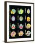 Coloured MRI Scans of Human Brain (multiple Views)-Mehau Kulyk-Framed Photographic Print